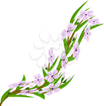 Cherry blossom branch, vector illustration EPS 8