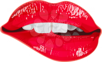 Female lips sexy, vector illustration EPS 10