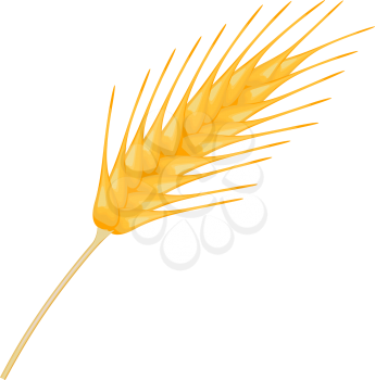 Ripe ear wheat, vector illustration EPS 10