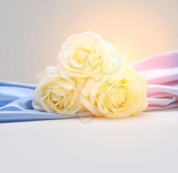 roses on silk background