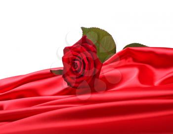 rose on red silk