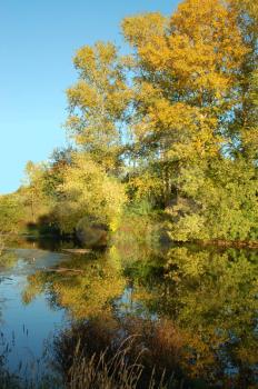   Picturesque autumn landscape of river and bright trees and bushes

