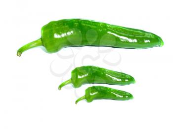 chili pepper, green isolated on white background