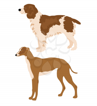 Royalty Free Clipart Image of Two Dogs