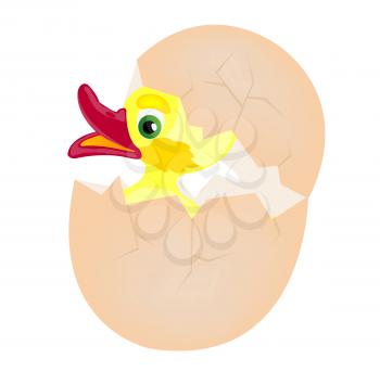 Royalty Free Clipart Image of a Hatching Duck