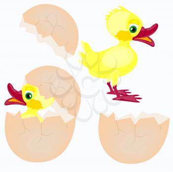 Royalty Free Clipart Image of Ducks and Eggs