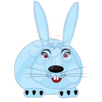 Cartoon of the rabbit on white background