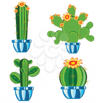 Much cactuses in pot on white background is insulated