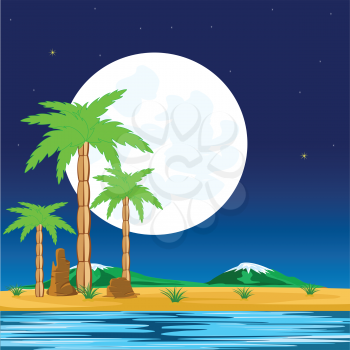 Tropical coast with palm in the night