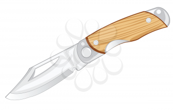 Folding knife on white background is insulated