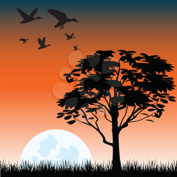 The Solitary tree on glade at night.Vector illustration
