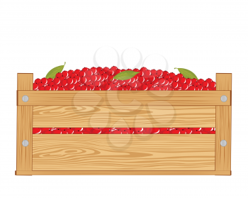 Wooden box with red berry on white background