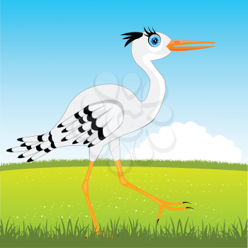 The Bird stork on glade year daytime.Vector illustration