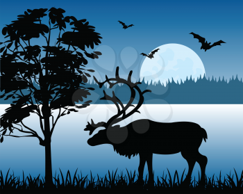 Silhouette of the deer on background of the wild nature