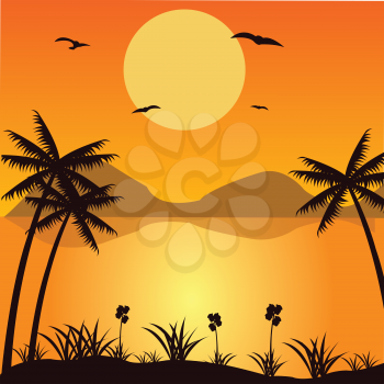 The Beautiful tropical landscape with palm.Vector illustration