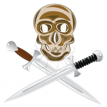 Two sword and skull of the person on white background is insulated.