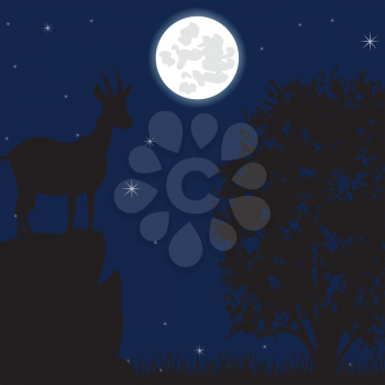 Silhouette wild mountain sawhorse on stone moon in the night