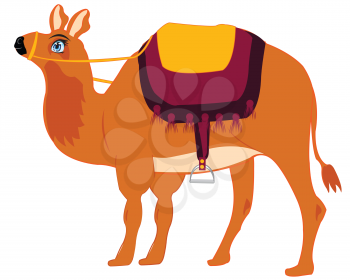Cartoon animal camel on white background is insulated