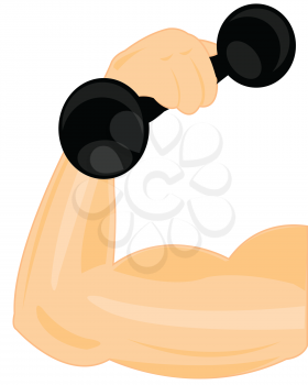 Strong hand men with dumbbells on white background