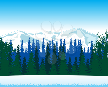 Vector illustration of the clean winter day on nature