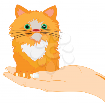 The Small redhead kitty on palm of the person.Vector illustration