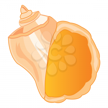 The Beautiful seashell from epidemic deathes.Vector illustration
