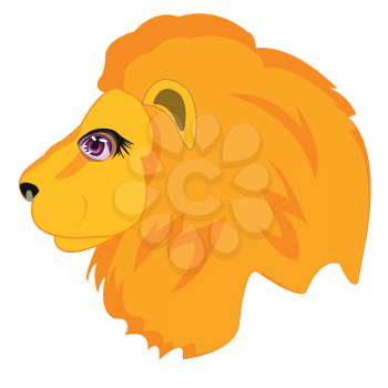 Head animal lion on white background is insulated