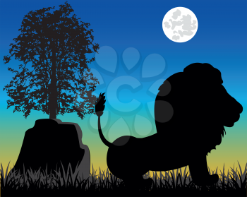 Night and silhouette animal lion on nature