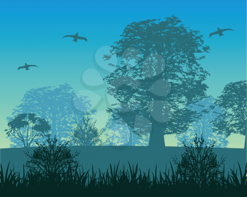 The Beautiful landscape morning in wood.Vector illustration