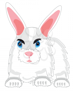 Cartoon of the feathery rabbit on white background is insulated