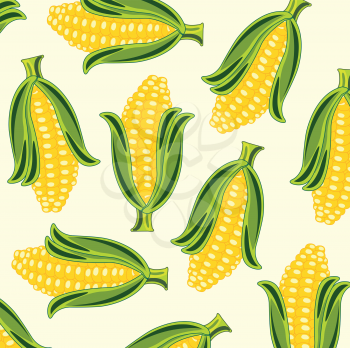 Background from cob of the corn.Vector illustration