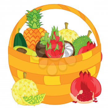 Braided basket with exotic fruit on white background is insulated
