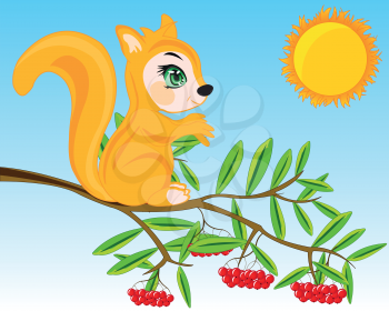 Cartoon animal squirrel on branch of rowanberry with ripe berry