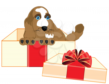 Vector illustration of the dog in gift to box by decorated bow