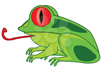Vector illustration of the amphibian frog cartoon on white background