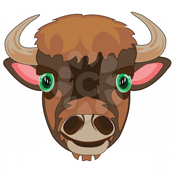 Vector illustration of the cartoon of the mug animal bison