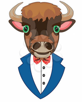 Portrait of the oxen in suit on white background is insulated
