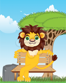 Animal lion sitting on bench on background of the nature