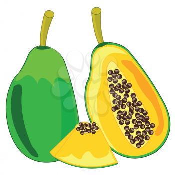 Vector illustration of the exotic tropical fruit papaya