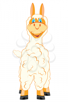 Animal lama type frontal on white background is insulated