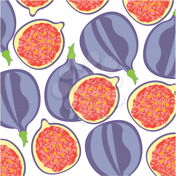 Vector illustration of the decorative pattern from fruit figs