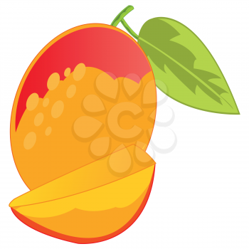 Vector illustration of the ripe fruit mango