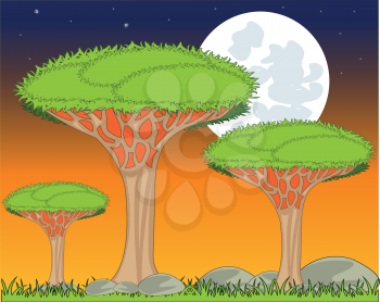 Vector illustration exotic dragon tree on background moon sky