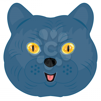 Vector illustration of the mug of the cat of the british sort