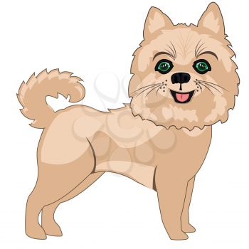 Vector illustration of the cartoon of the dog of the sort spitz