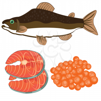 Fish salmon and meat with roe on white background is insulated