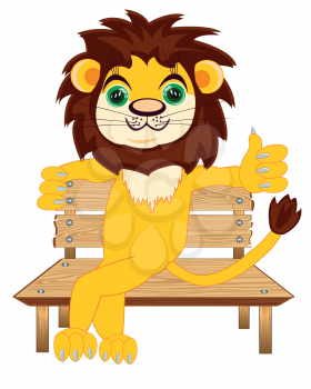 Animal lion sitting on bench on white background is insulated