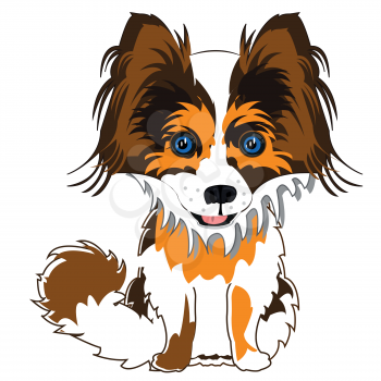 Cartoon of the tiny dog papillon on white background is insulated