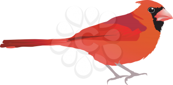 Royalty Free Clipart Image of a Red Bird