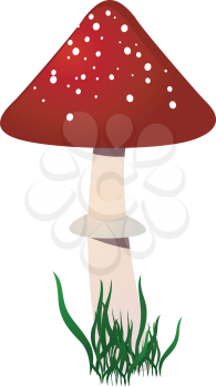 Royalty Free Clipart Image of an Amanita Mushroom